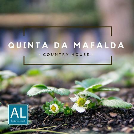 Quinta Da Mafalda Mira  Zewnętrze zdjęcie